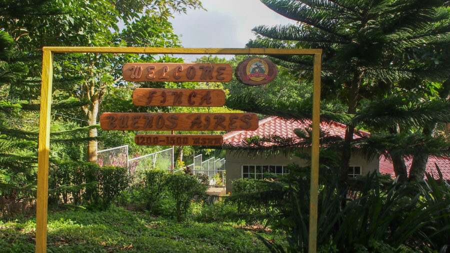 New Coffee Beans (12月-01)