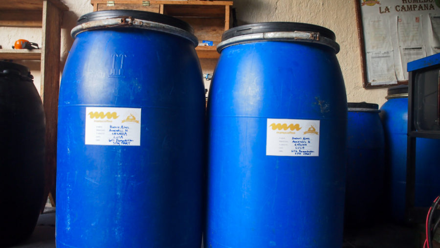 New Coffee Beans (12月-01)