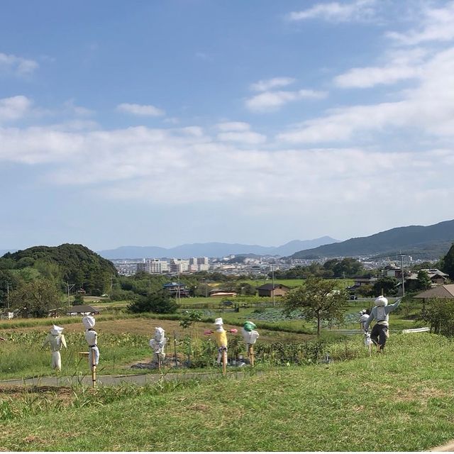 マヌカナファーム収穫祭として、収穫体験イベントを実施します！