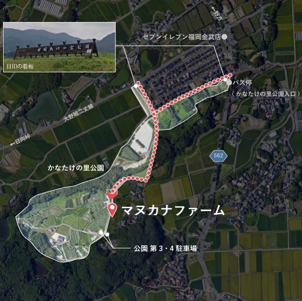 マヌカナファーム収穫祭として、収穫体験イベントを実施します！