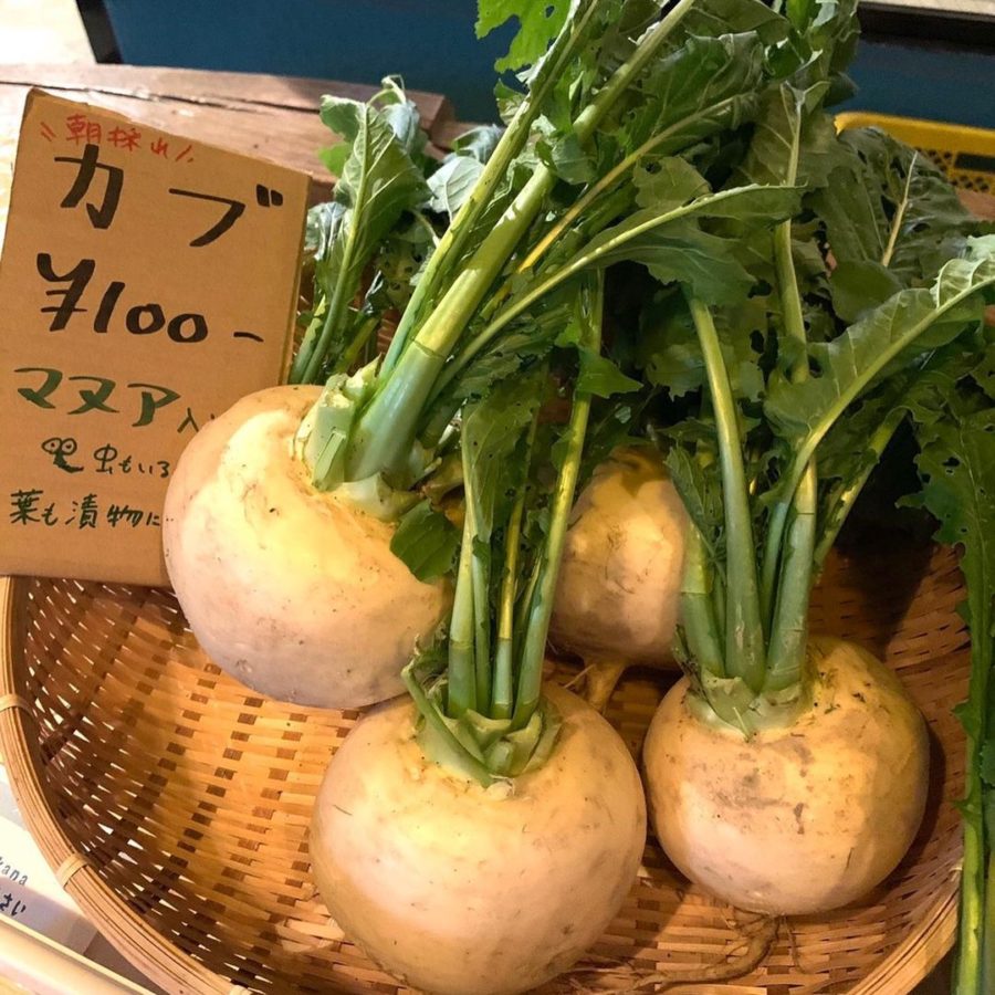 マヌカナファーム収穫祭として、収穫体験イベントを実施します！