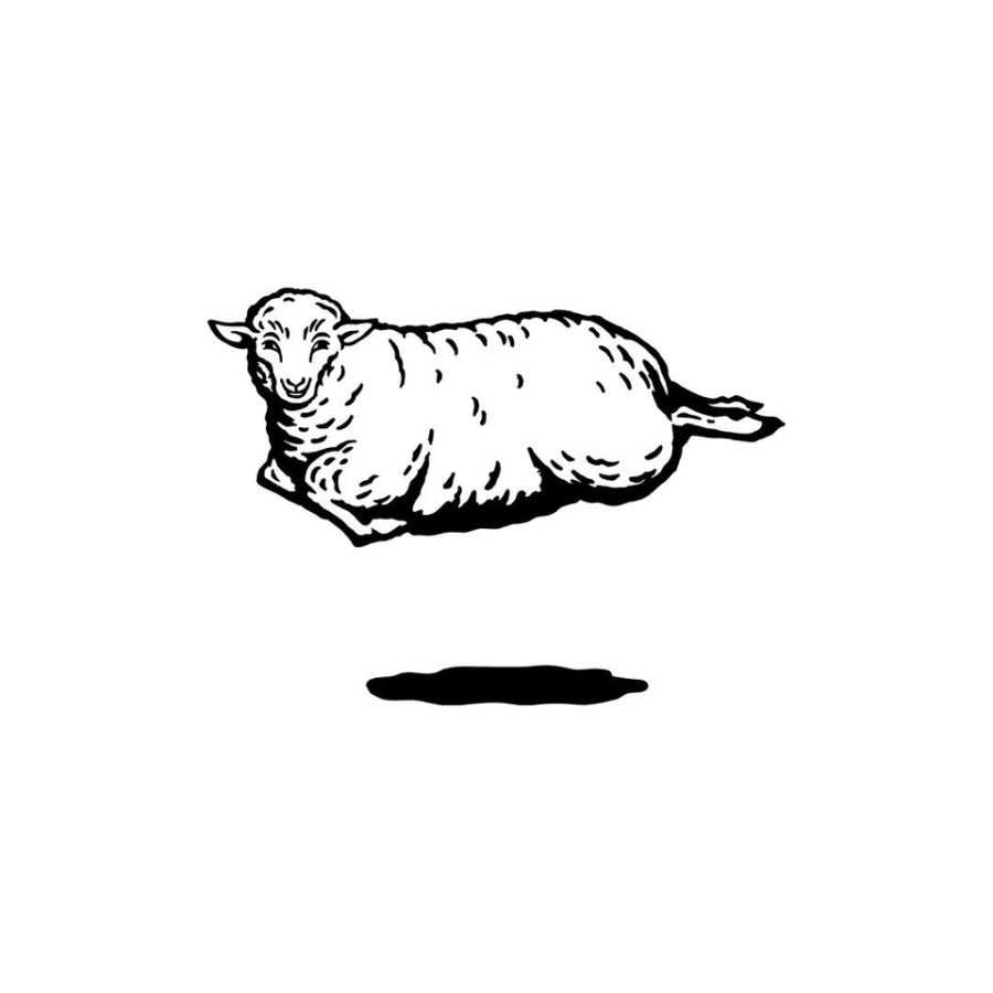 new sweets - 羊かん珈琲（ひつじや × manucoffee）