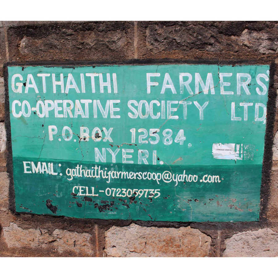 New Coffee Beans ! (3月 05)