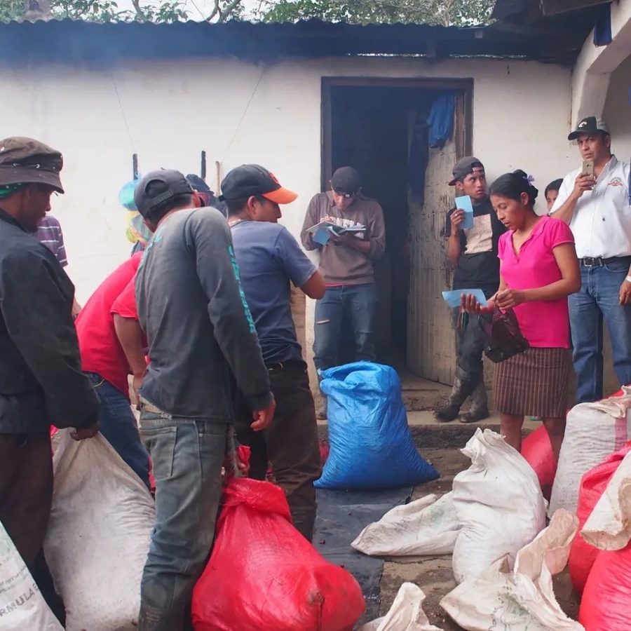 New Coffee Beans - ニカラグア