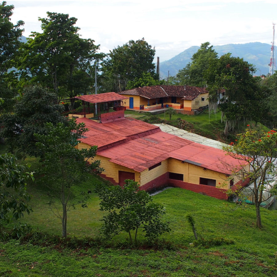 ゲイシャを含むコロンビア ベラクルース農園のロット違いを飲み比べられるノミンハーフ「テイスターパッケージ」がスタート!オンラインにて数量限定