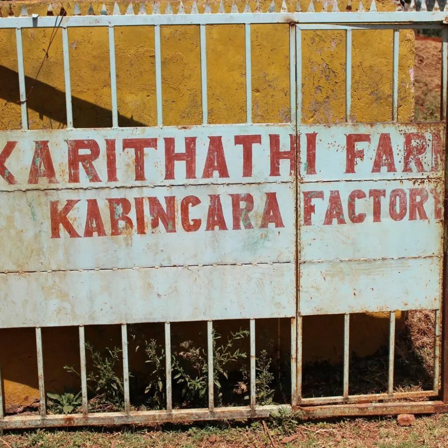 New Coffee Beans ! (6月-02/03)