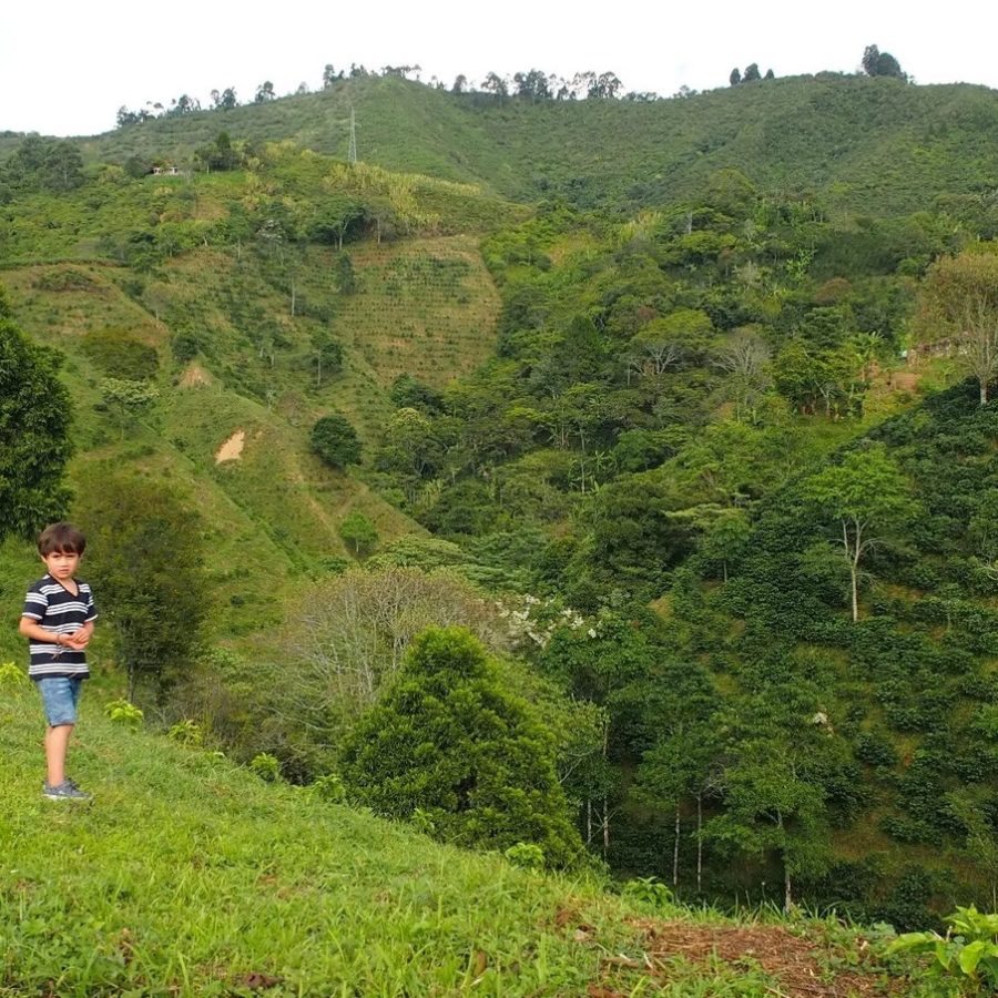 ゲイシャを含むコロンビア ベラクルース農園のロット違いを飲み比べられるノミンハーフ「テイスターパッケージ」がスタート!オンラインにて数量限定