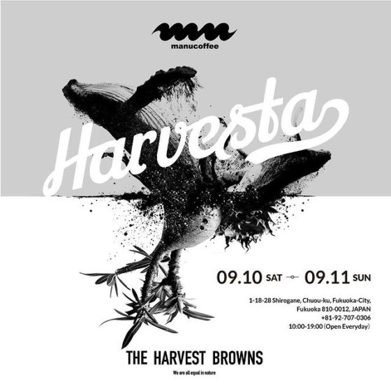 Harvesta - THE HARVEST BROWNS POPUP