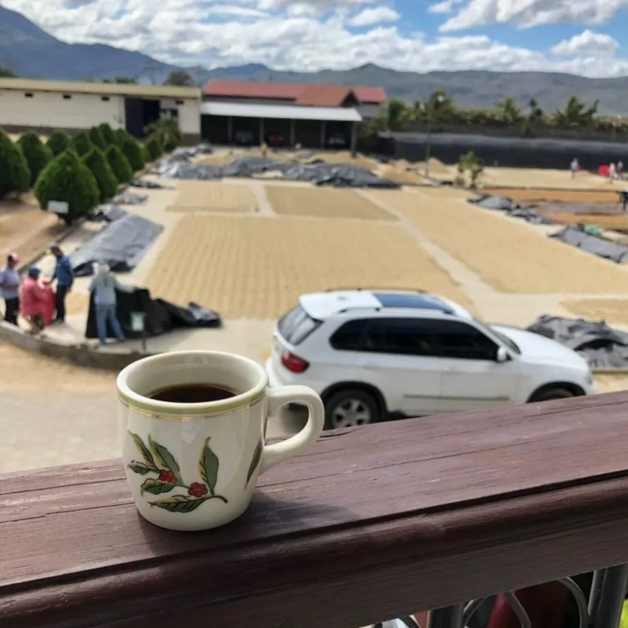 New Coffee Beans - COEニカラグア