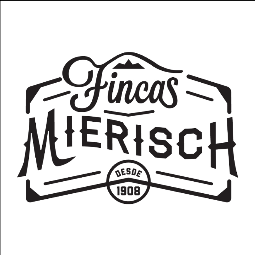 New Coffee Beans（8月-03）