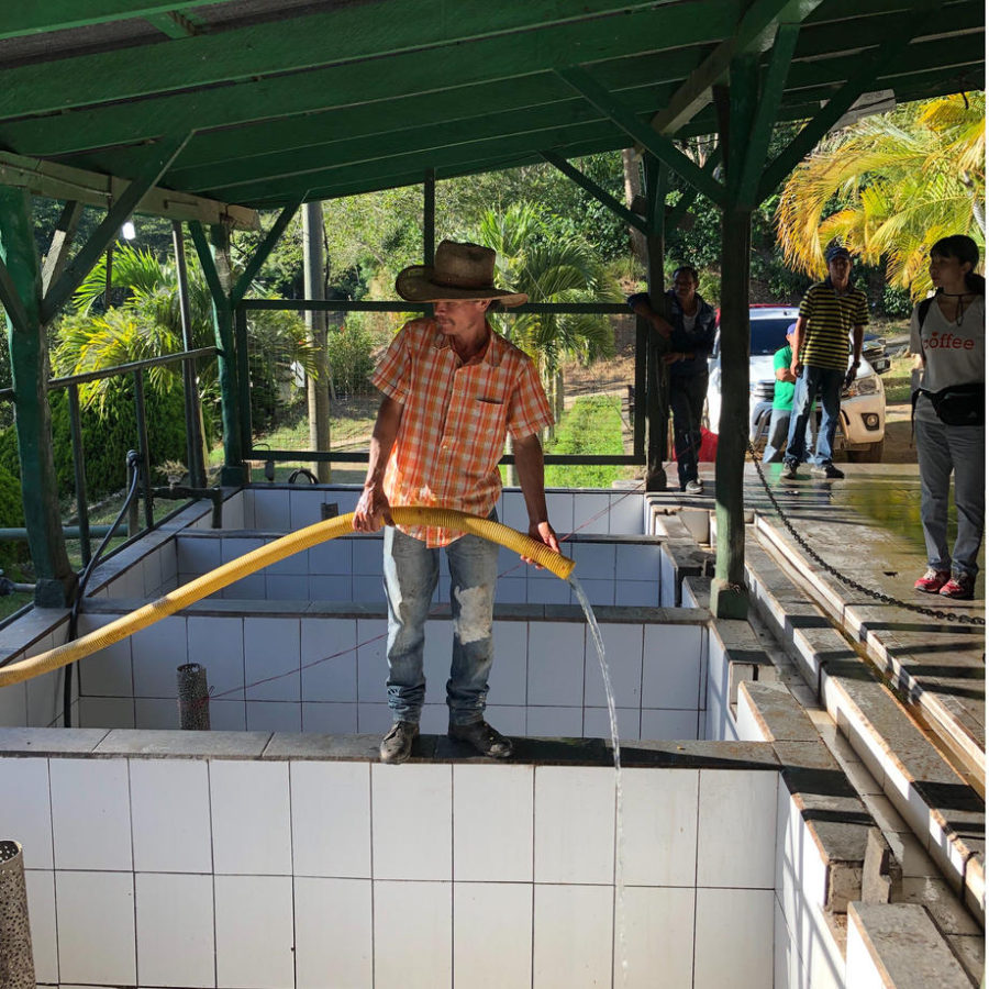 New Coffee Beans ! (5月-05)