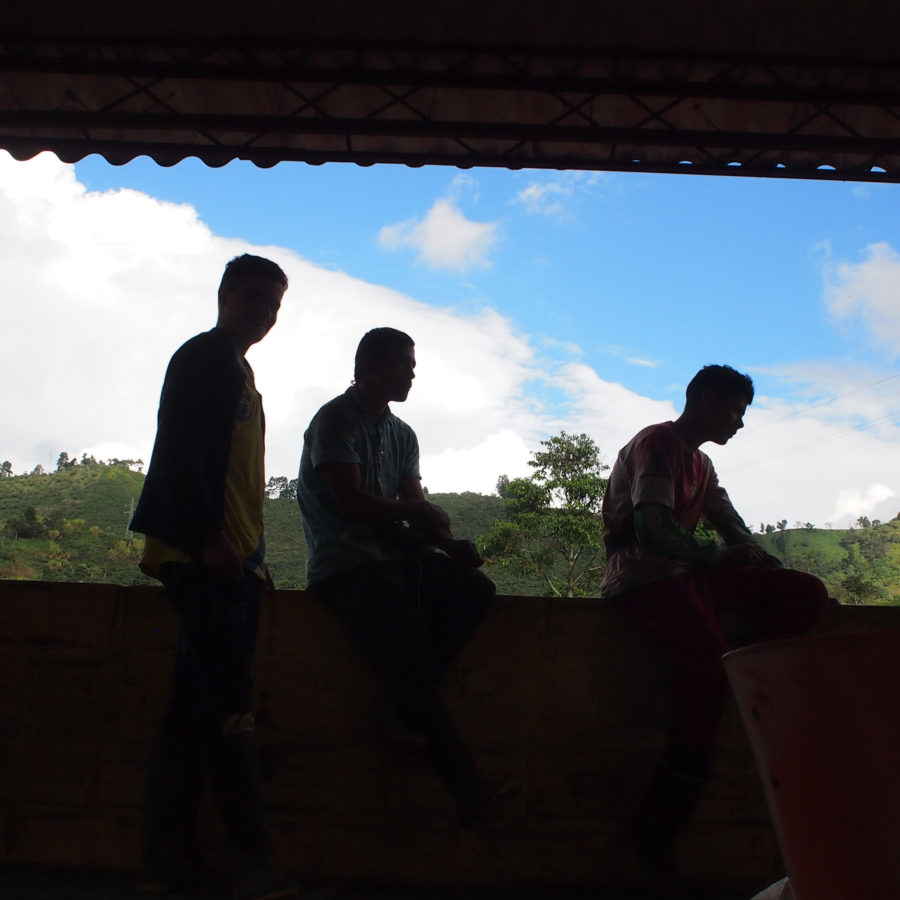 ゲイシャを含むコロンビア ベラクルース農園のロット違いを飲み比べられるノミンハーフ「テイスターパッケージ」がスタート!オンラインにて数量限定