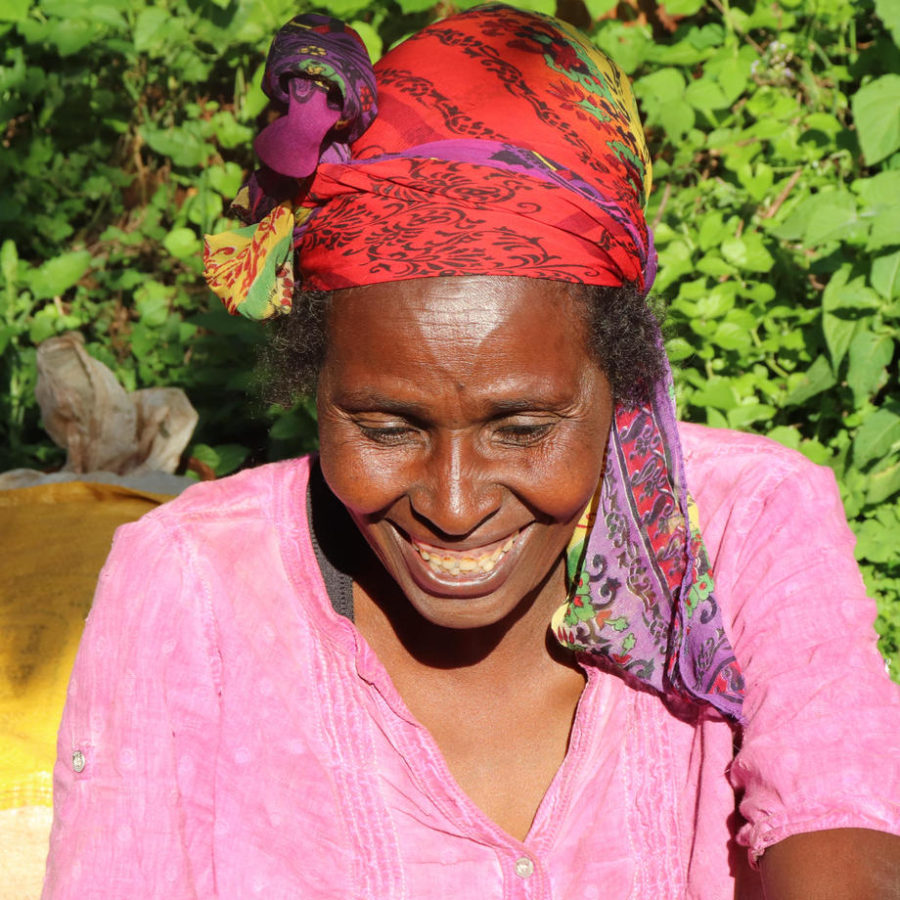 New Coffee Beans ! (3月 05)