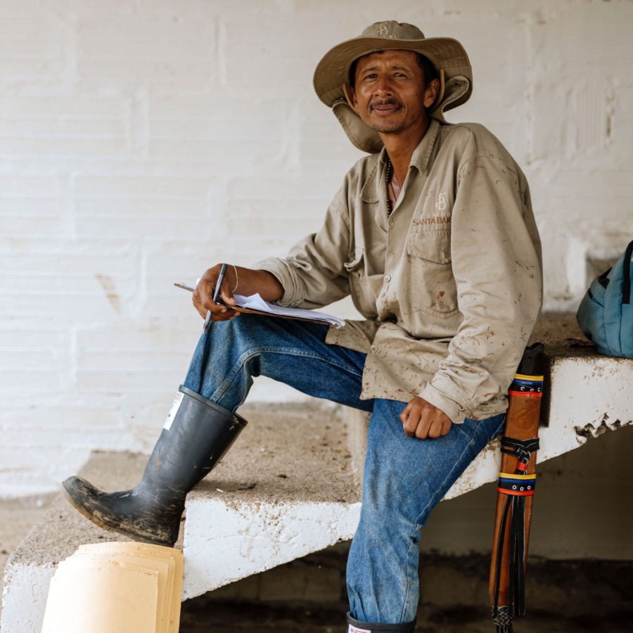 ゲイシャを含むコロンビア ベラクルース農園のロット違いを飲み比べられるノミンハーフ「テイスターパッケージ」がスタート!オンラインにて数量限定