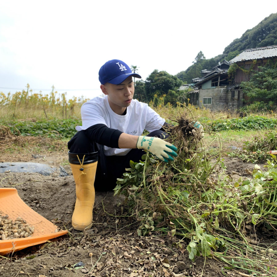 マヌア肥料で育てたピーナッツによるピーナッツラテ、提供スタート