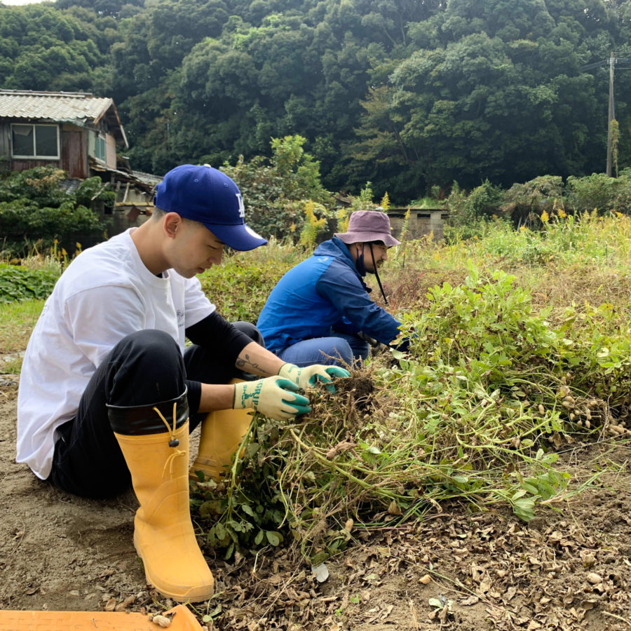マヌア肥料で育てたピーナッツによるピーナッツラテ、提供スタート