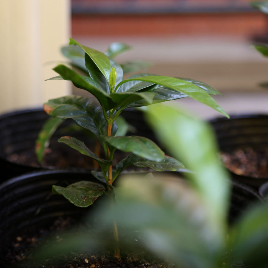 営業時間に関して