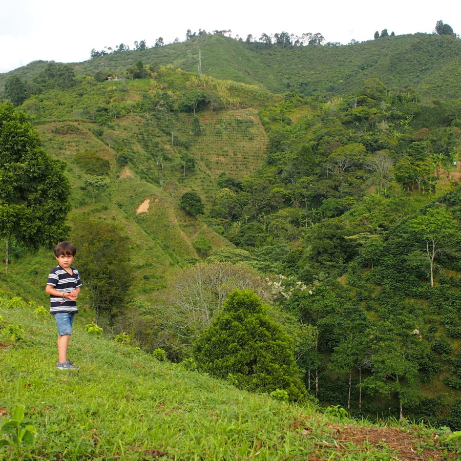 New Coffee Beans ! (4月04)