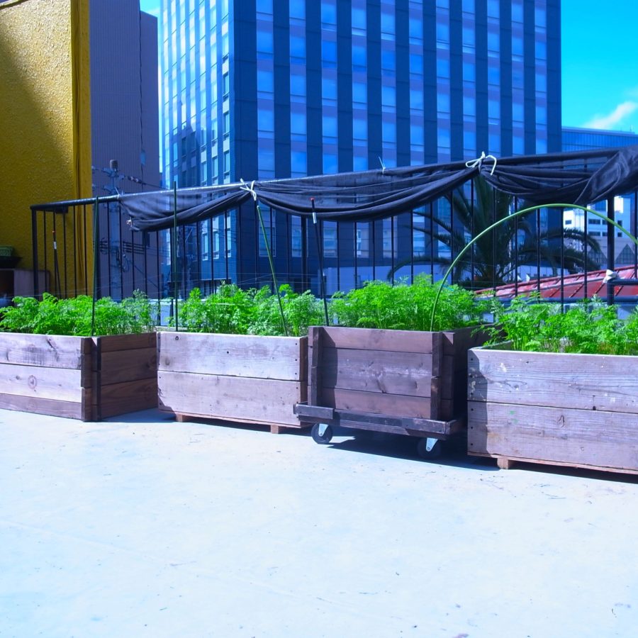 11/28にC’s UPの第1回目のイベント『収穫祭』を開催!