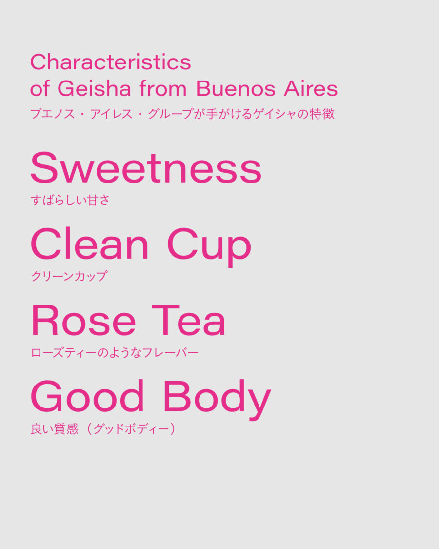 COEニカラグア優勝ロット、2回目（最終）焙煎分の販売について