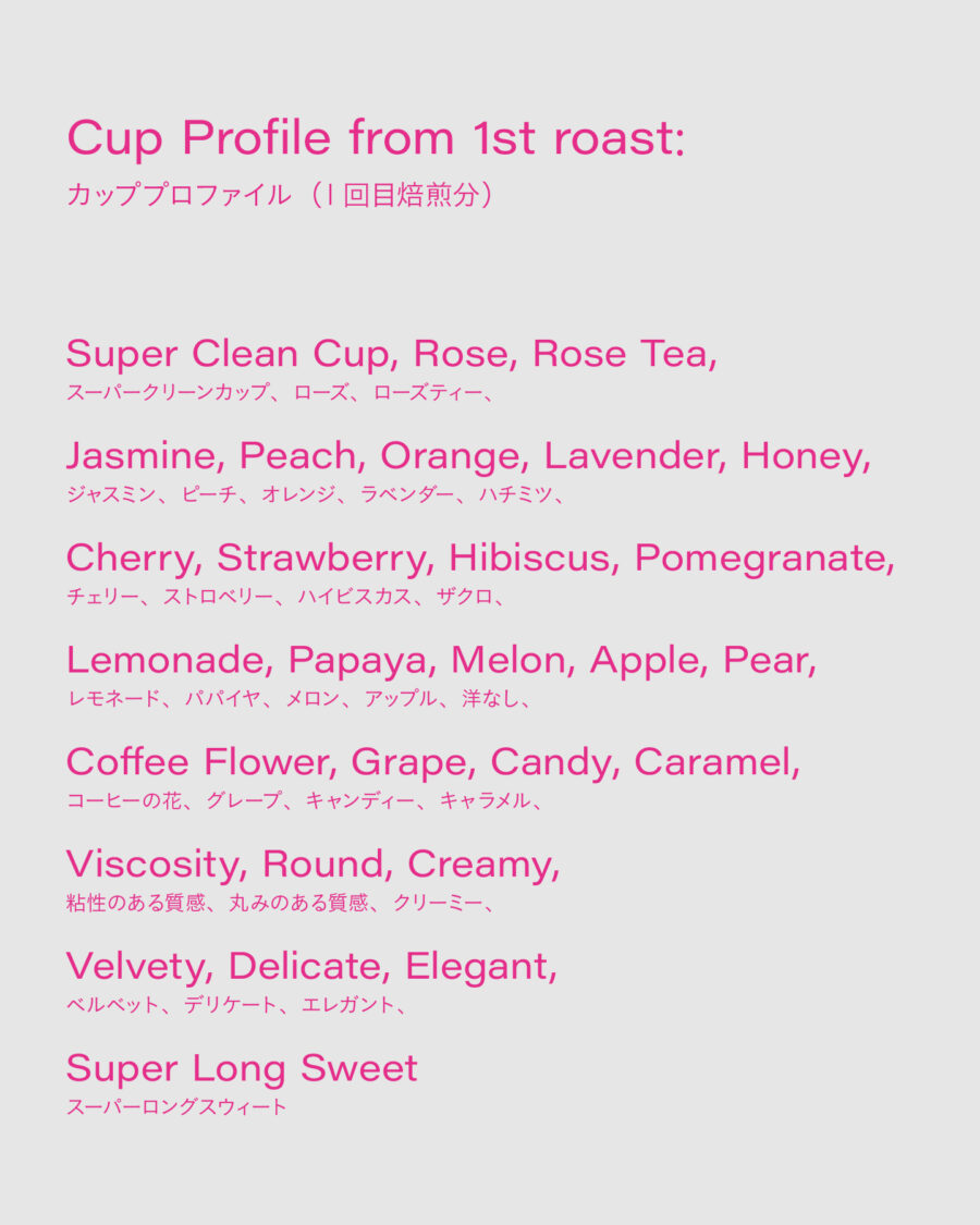 COEニカラグア優勝ロット、2回目（最終）焙煎分の販売について