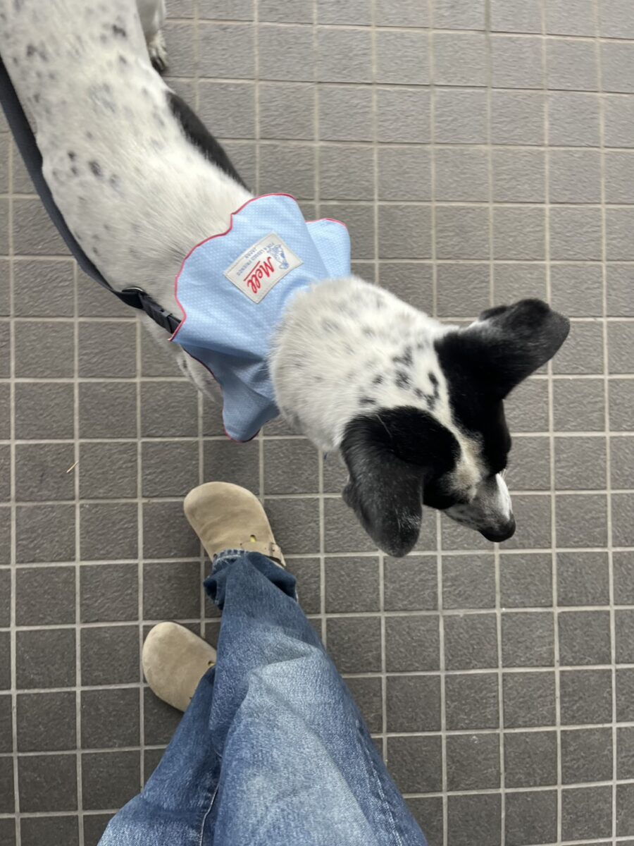 MELL×JEDI POPUP FUKUOKA