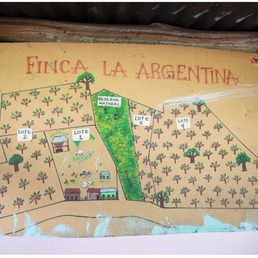 New Coffee Beans ! (3月06/07)