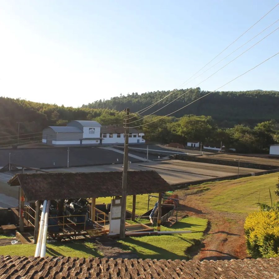 New Coffee Beans ! (8月- 01/02)