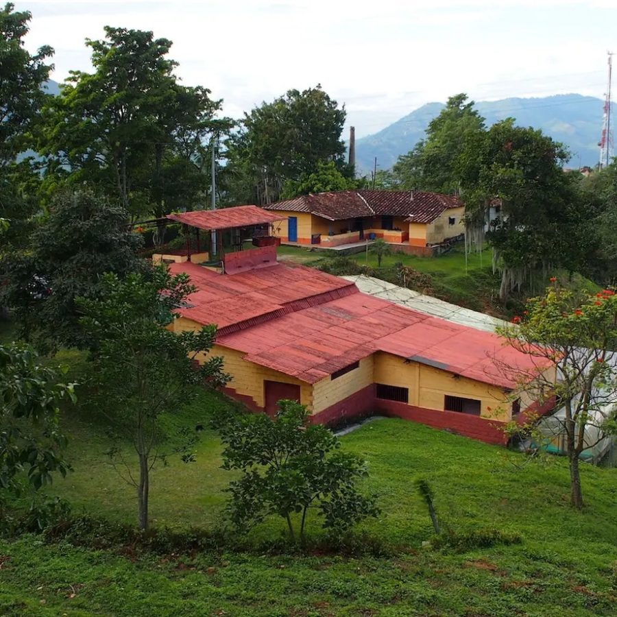 New Coffee Beans ! (5月-01/02/03)