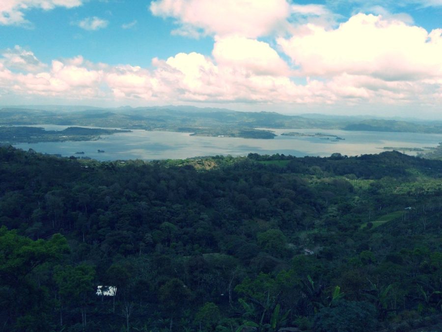 New Coffee Beans（8月-03）