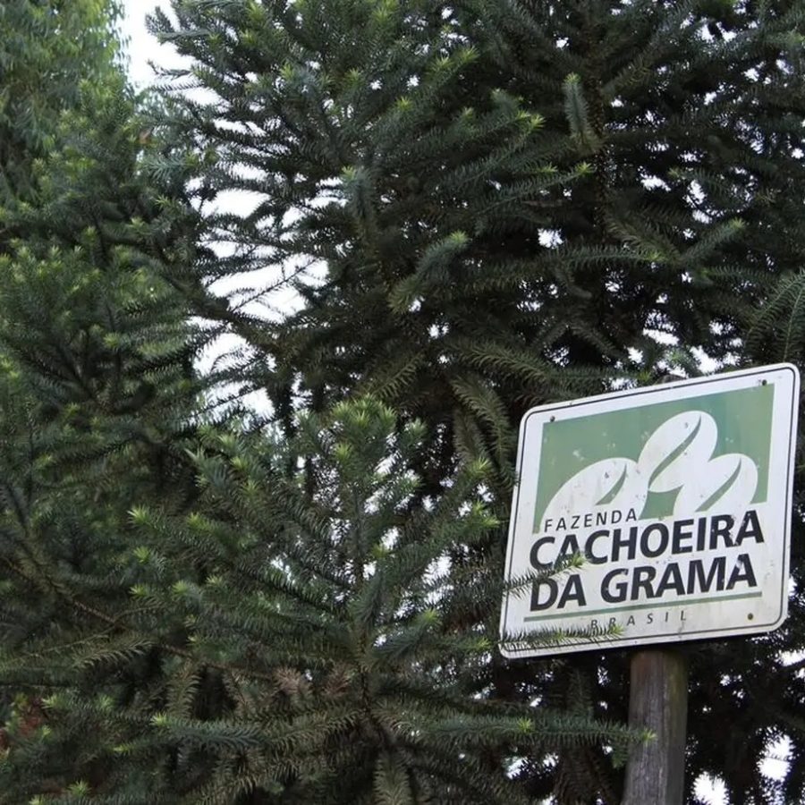 New Coffee Beans ! (8月- 01/02)