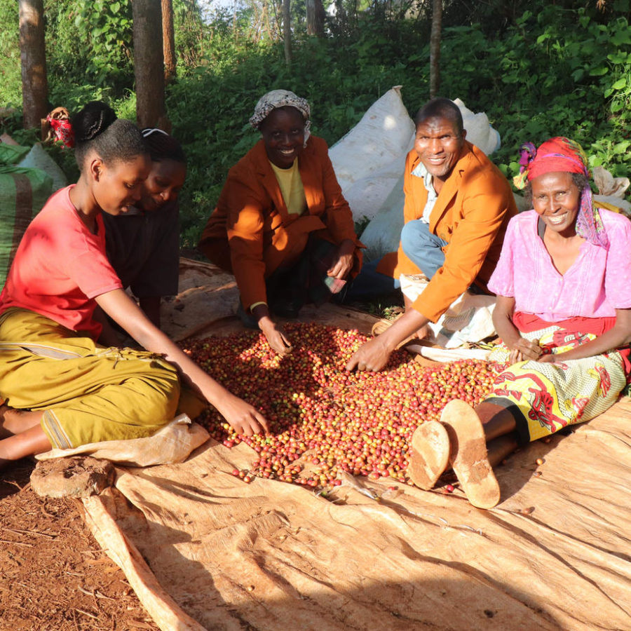 New Coffee Beans ! (3月 05)