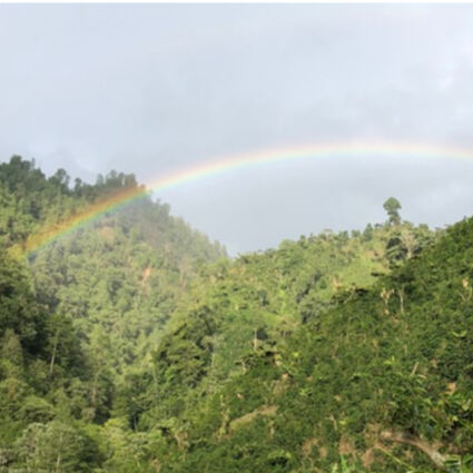 New Coffee Beans ! (5月-04)