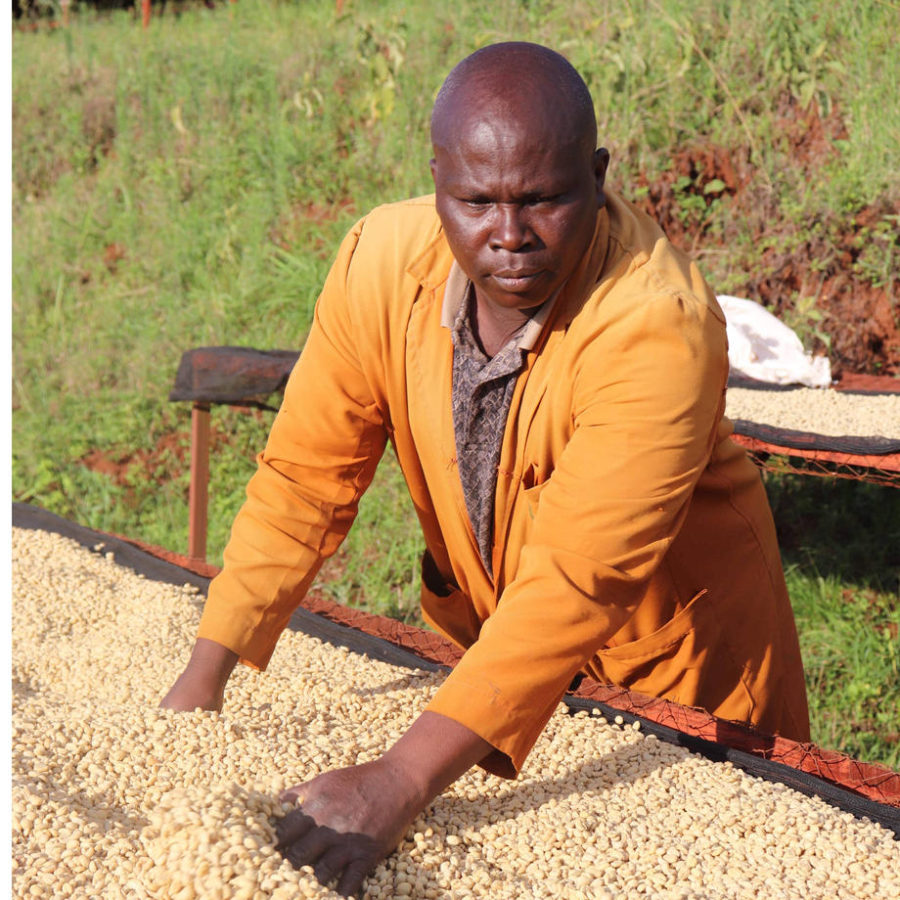 New Coffee Beans ! (3月 05)