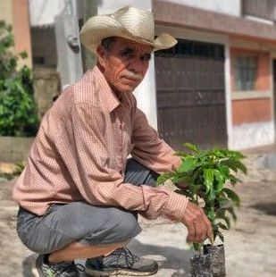 New Coffee Beans ! (5月-04)