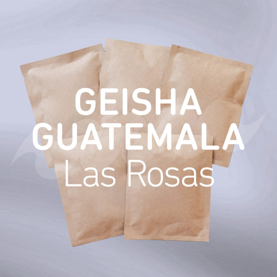 New Coffee Beans - ゲイシャ グアテマラ