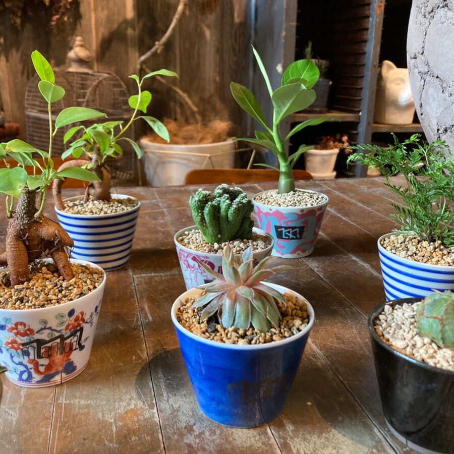 無印良品 天神大名にて「マヌアップ vol.2 -From Seed to Cup, and Beyond-」