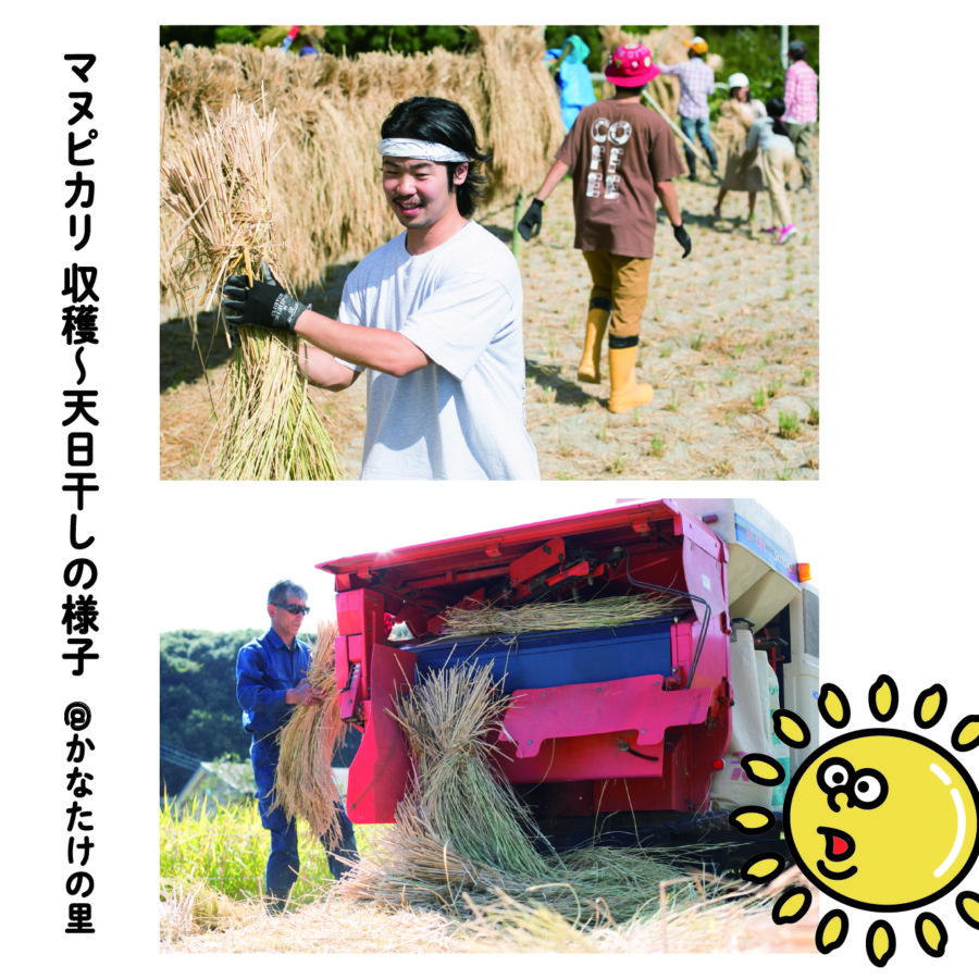 マヌシェ 大丸東館B2のサステナブルウィークに参加します！