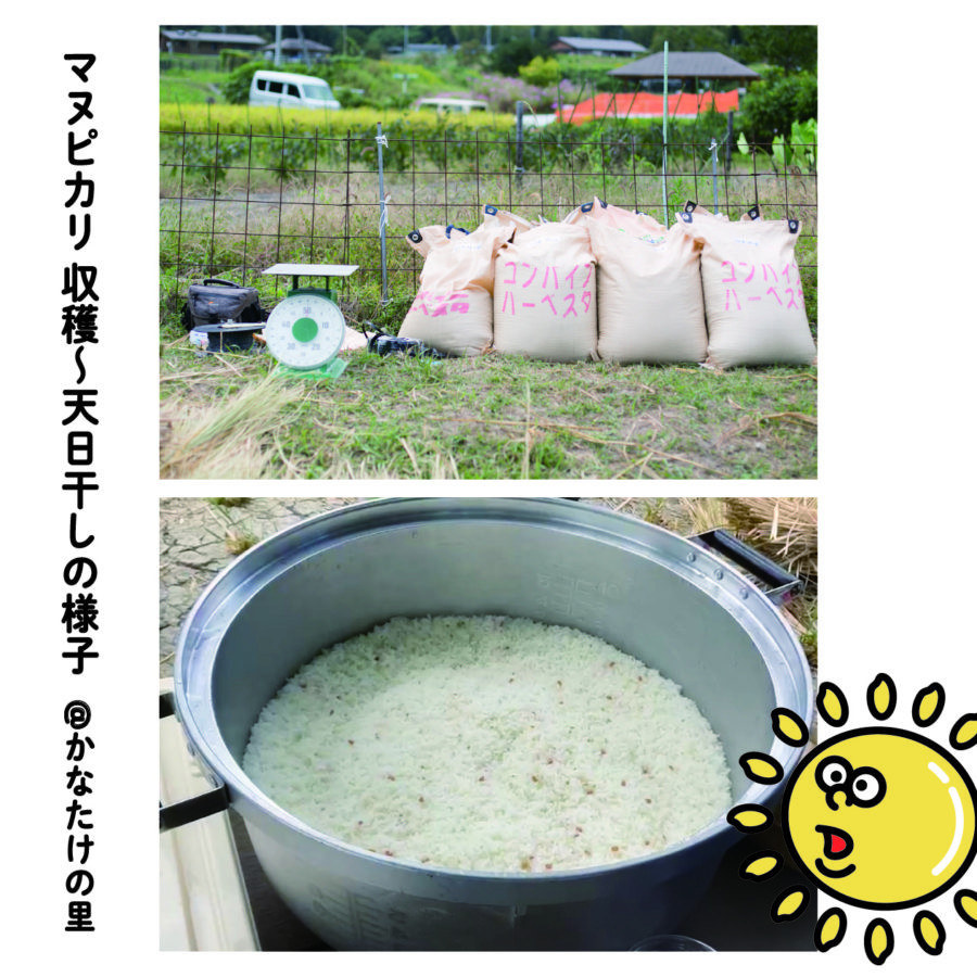 マヌシェ 大丸東館B2のサステナブルウィークに参加します！