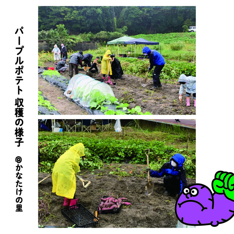 マヌシェ 大丸東館B2のサステナブルウィークに参加します！