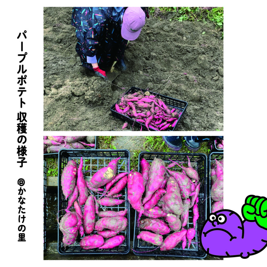 マヌシェ 大丸東館B2のサステナブルウィークに参加します！