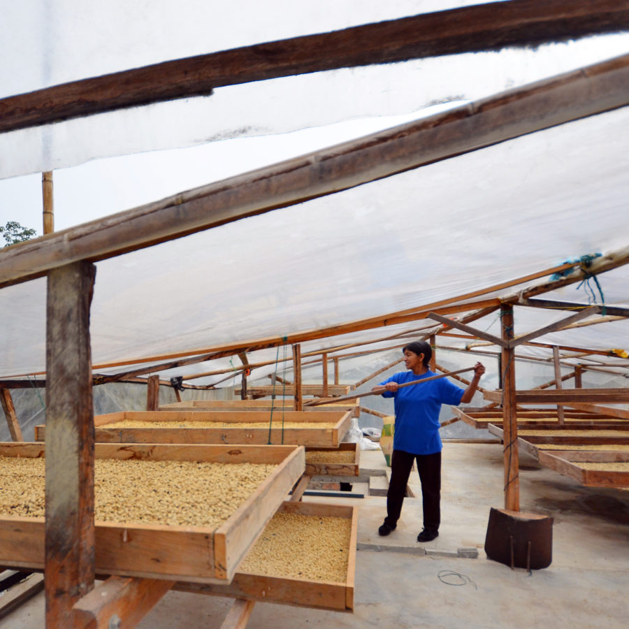 New Coffee Beans (2月-01)