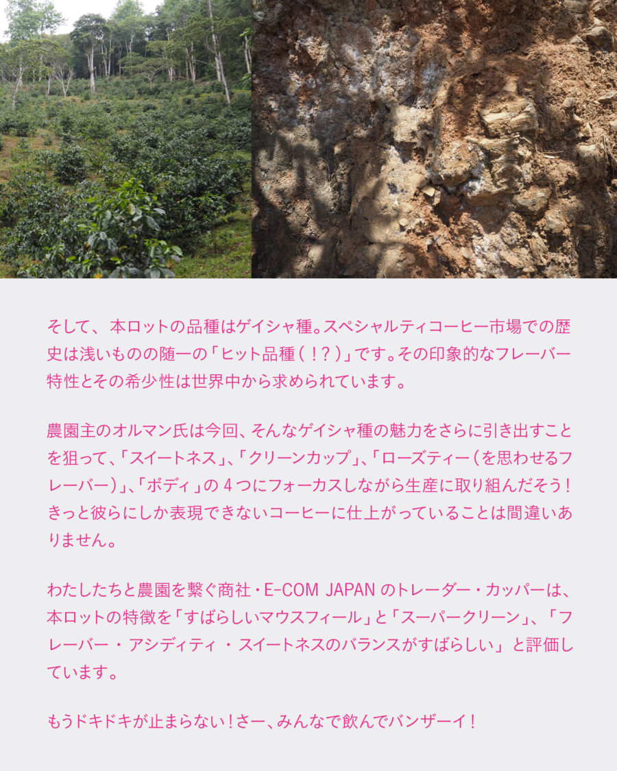 バンザイ!ニカラグア カップ・オブ・エクセレンス 2023 1位入賞ロット リリースおよびリリースイベント「コーヒーバンザイ!」開催